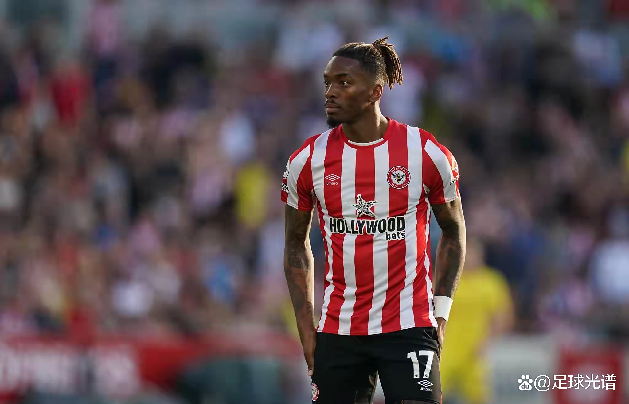 关于南安普顿主场击败谢菲联,稳固位置的信息 关于南安普顿主场击败谢菲联,稳固位置的信息