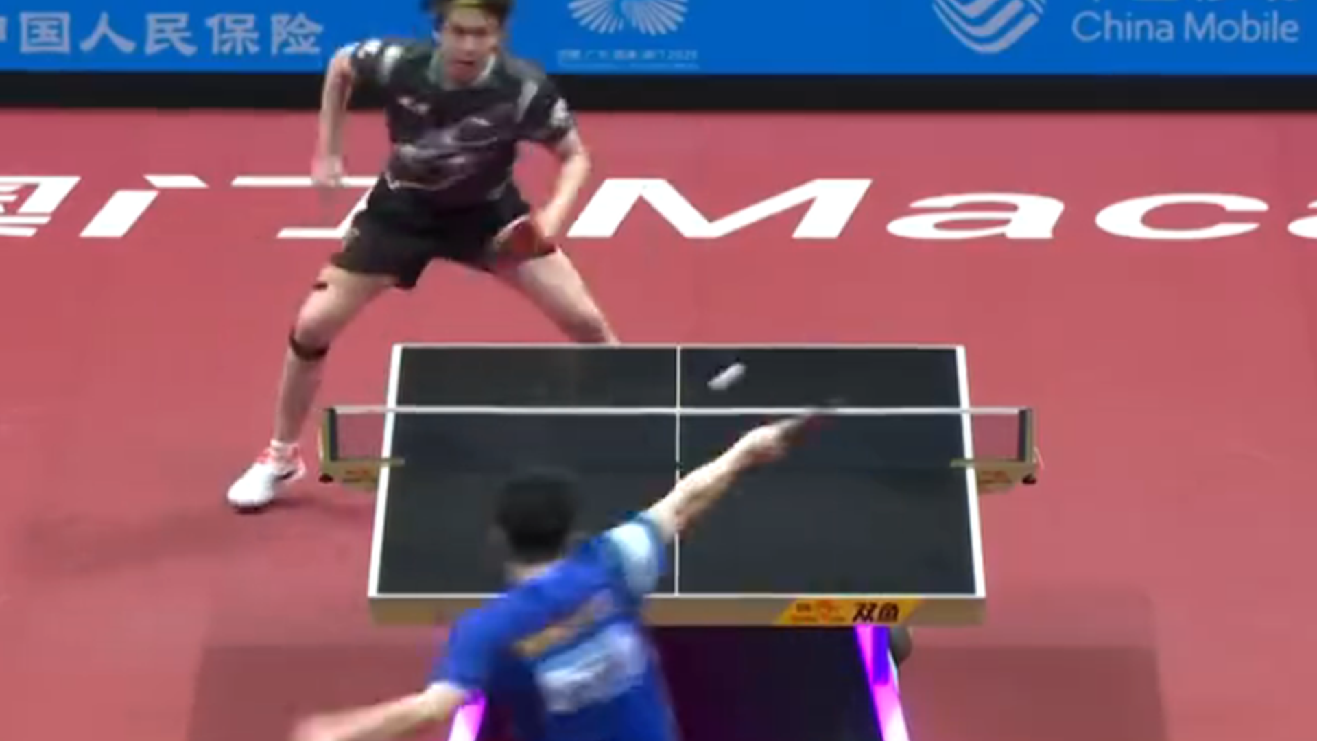 开云体育中国-葡萄牙队险胜英格兰队，樊振东状态火热