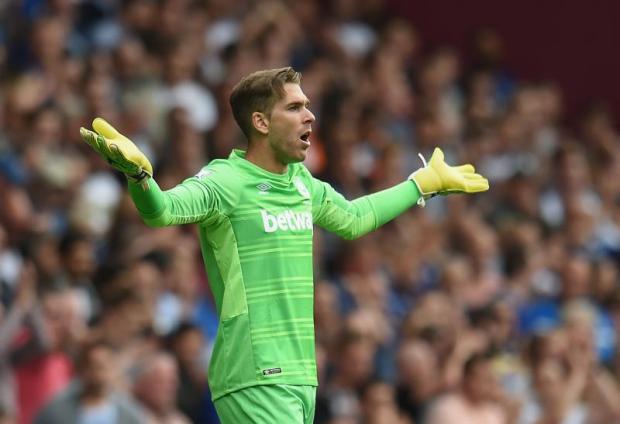 诺里奇客场逼平，保级前景略有起色