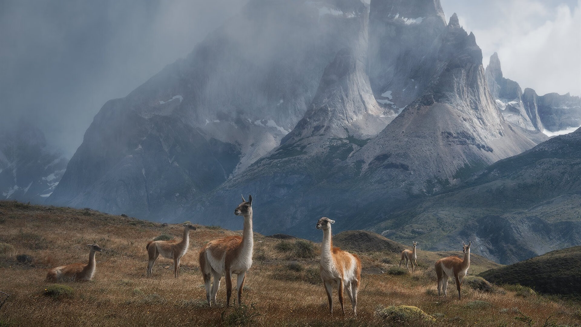 王者还是王？武切维奇35+17让上海滩的东方明珠为萨克拉门托闪烁！