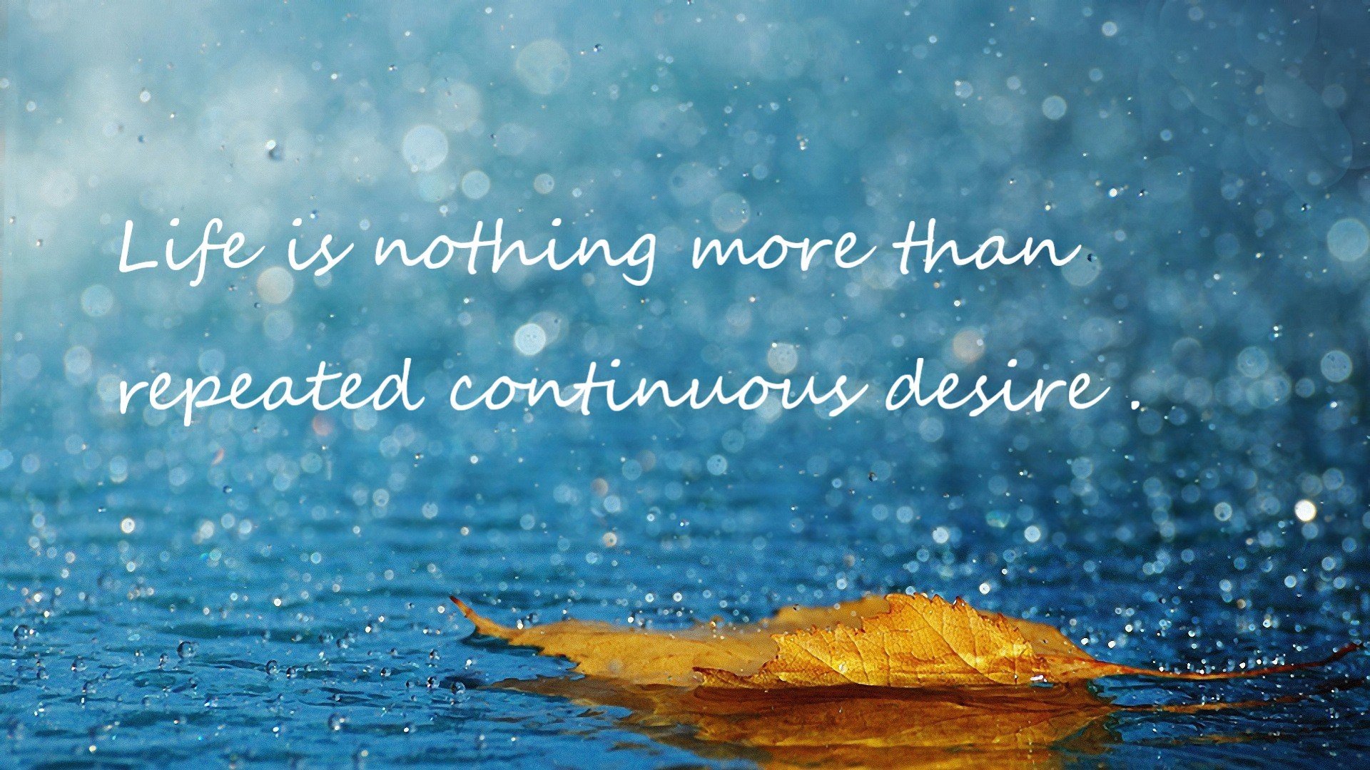 太阳神降临，当布克以一己之力点燃季后赛之夜