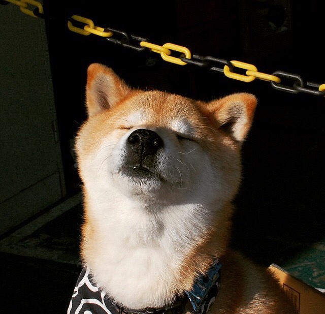 开云体育官网-萨卡关键回合不手软，韩国力量连续压制巴萨，新一代的冷静与冲击力如何颠覆旧秩序