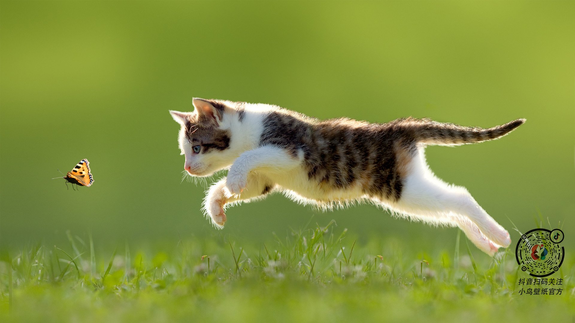 冰封时刻，英格拉姆一剑封喉，奇才险胜深圳背后是怎样的心理博弈？