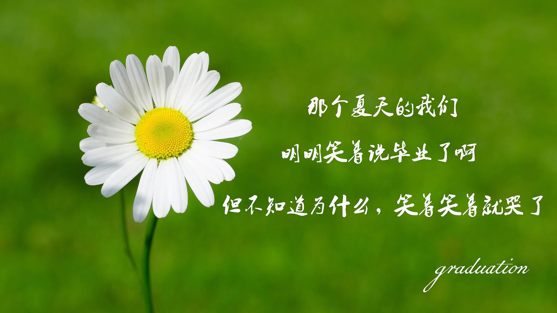 紫百合提前掐灭南大王的火焰,巴尔韦德一锤定音