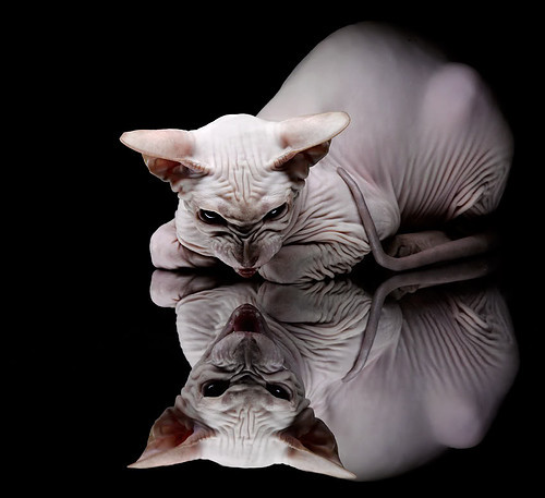 开云体育平台APP-奥纳纳存在感拉满！埃弗顿闷战那不勒斯，欧冠淘汰赛悬念延续