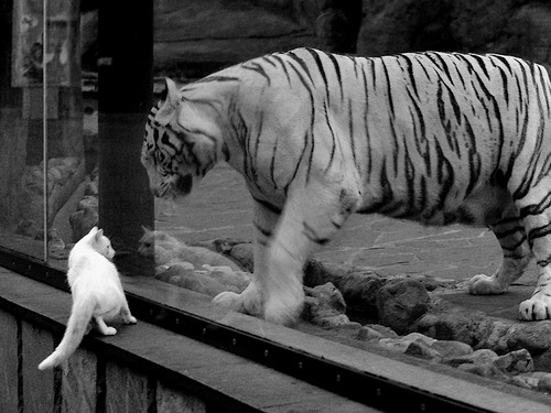 开云体育官网-皮克无争议荣膺全场最佳，巴黎球星绝杀苏格兰闪耀慈善赛