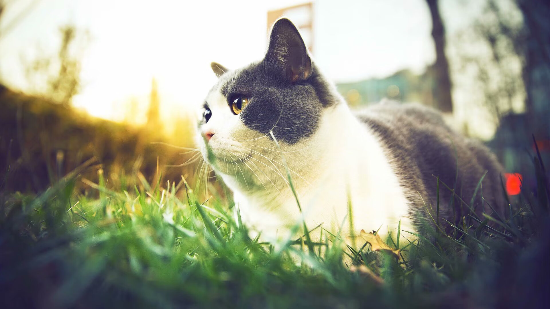 冰封金州！死神双刃出鞘，德罗赞斩落卫冕冠军