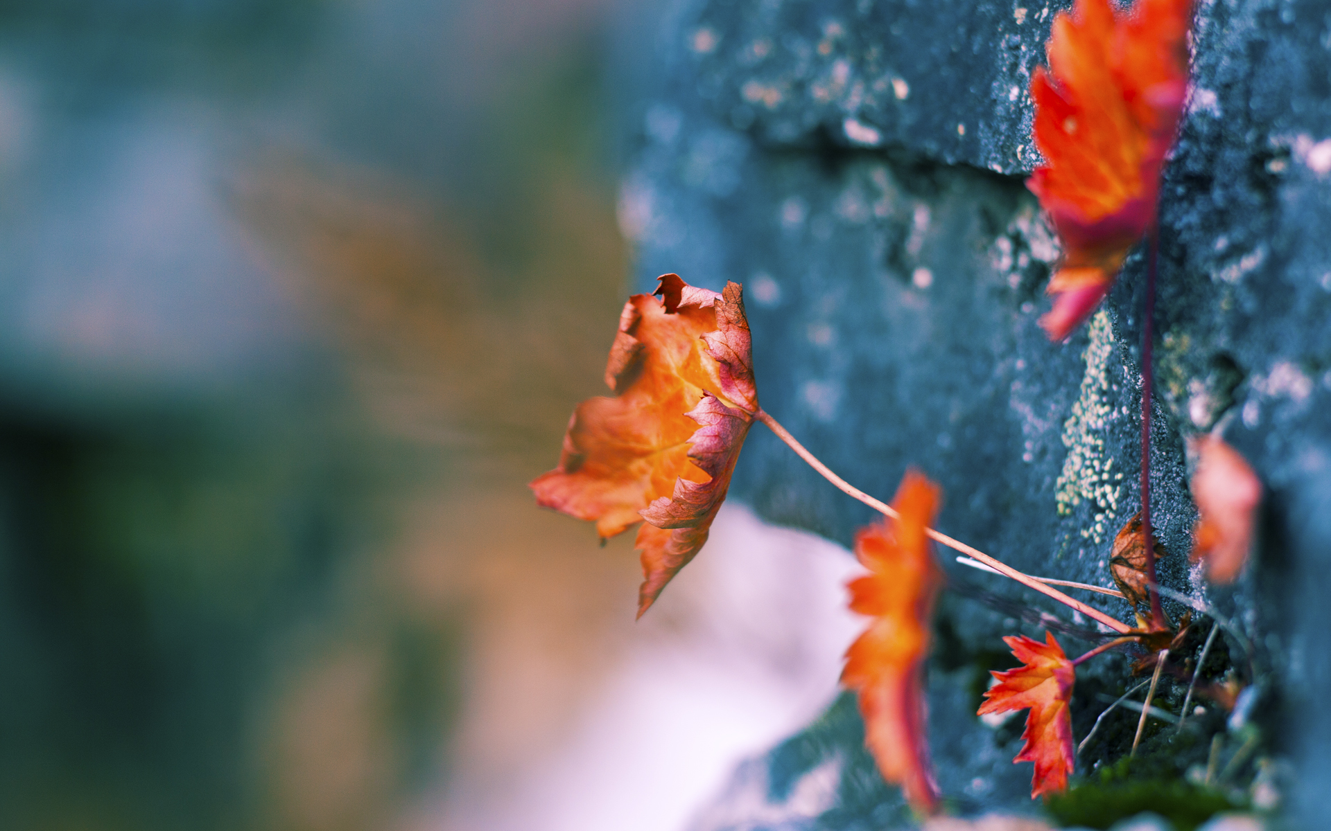 开云体育中国-冰封三节，热浪终章，字母哥高压下的岩浆式爆发