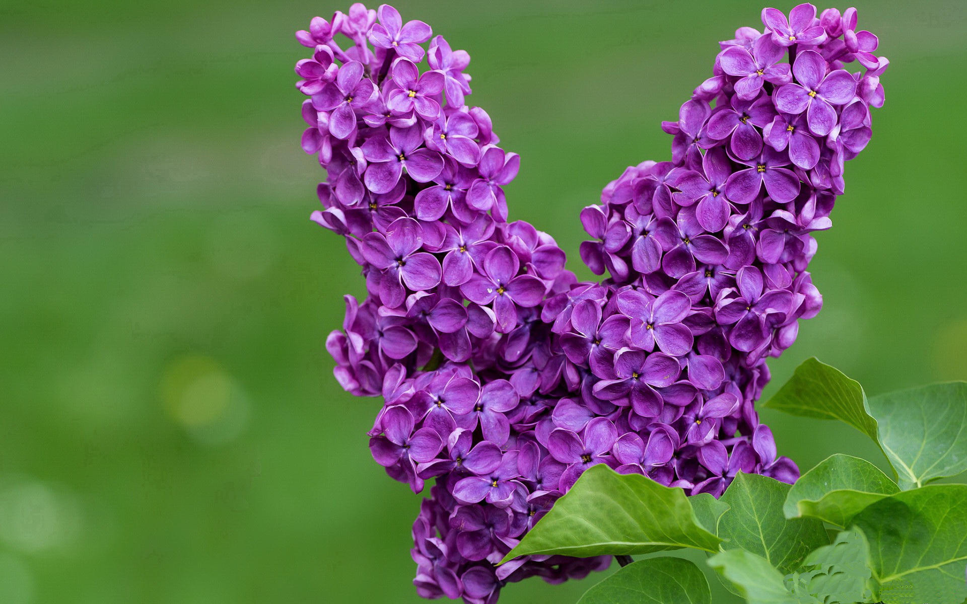 开云-绿茵场上的第三节狂飙，当德甲争冠战遇上篮球式闪电战