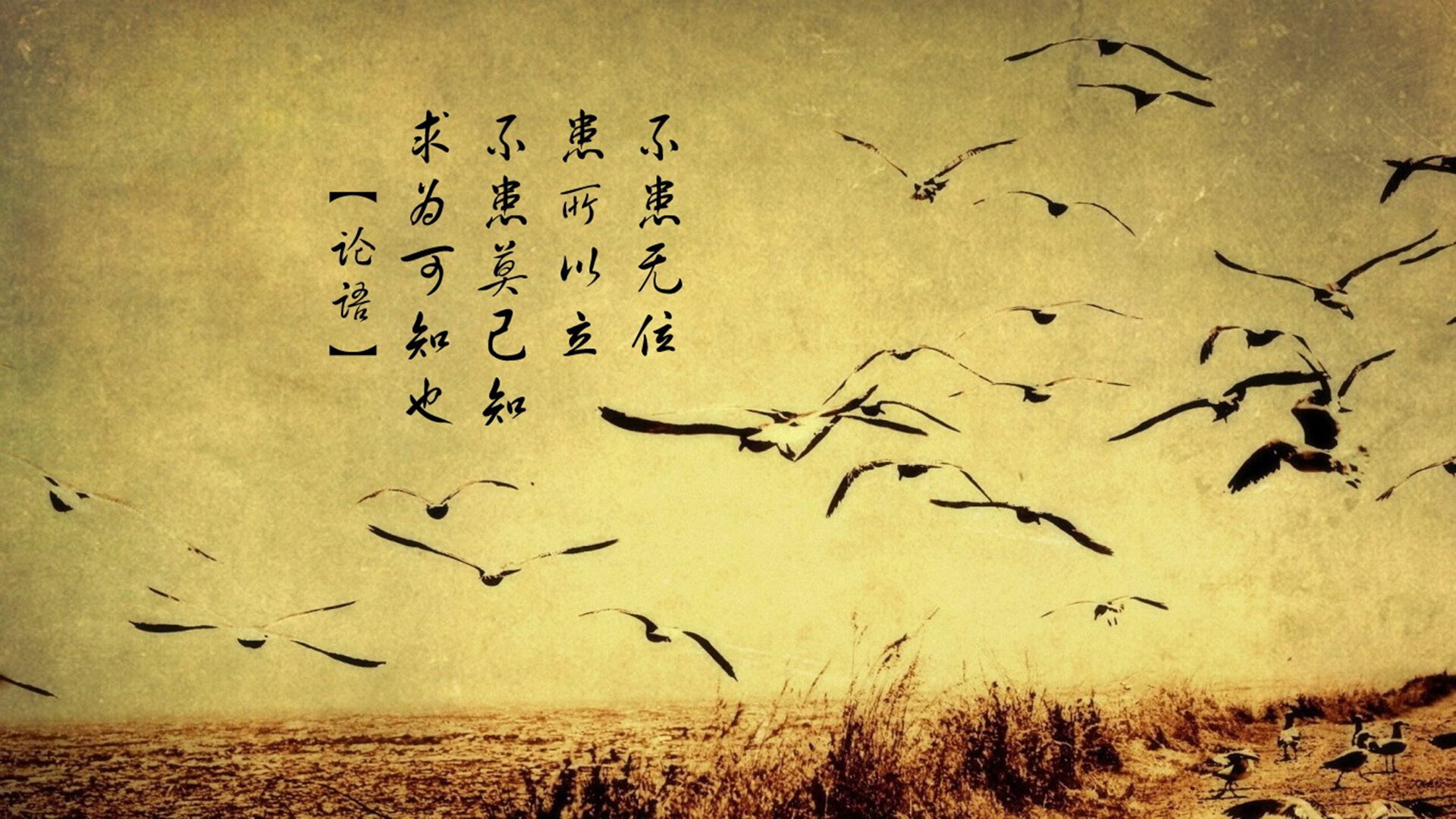 数据洪流中的孤岛，当巴斯托尼的绝对唯一撕裂澳委之战的空气