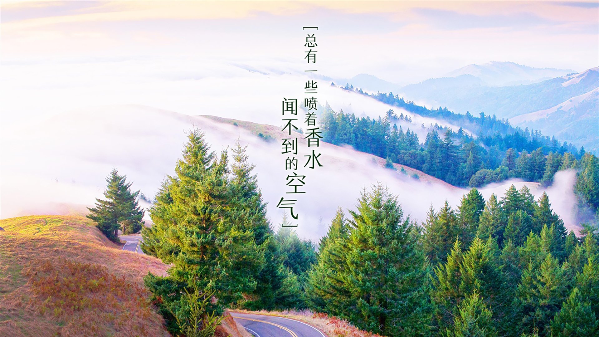 极光破星条，2026世界杯D组冰岛绝杀美国，哈兰德演绎北欧神话新章